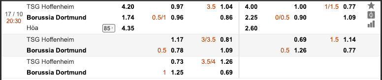 TSG Hoffenheim vs Borussia Dortmund hình 1