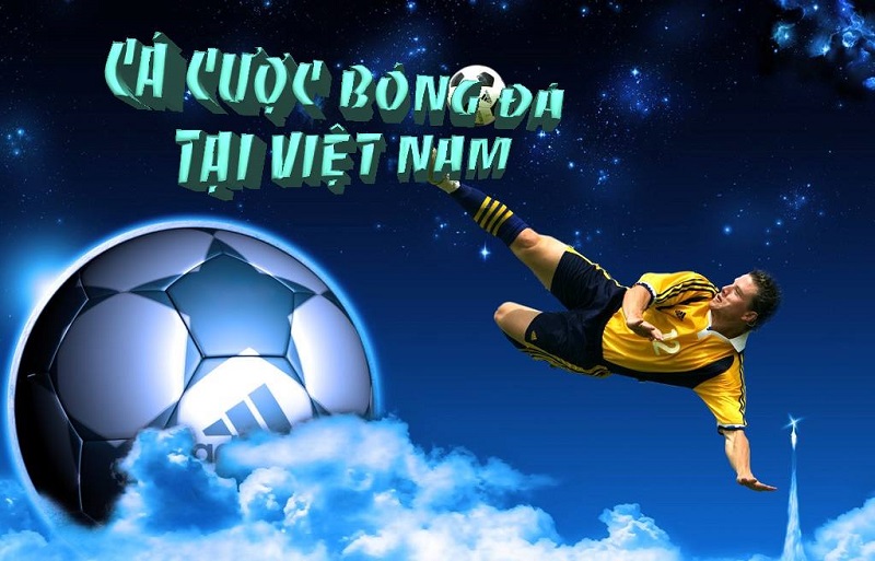 luat ca do bong da o viet nam.html